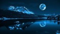 /album/fenykepgaleria/blue-moon-beauty-41363-jpg/