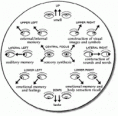 /album/fenykepgaleria/yoga-eye-exercise-gif/